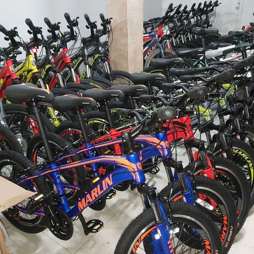 دوچرخه ۲۶ پرشی گلگیردار «فروشگاه خانه دوچرخه»|دوچرخه، اسکیت، اسکوتر|بم, |دیوار