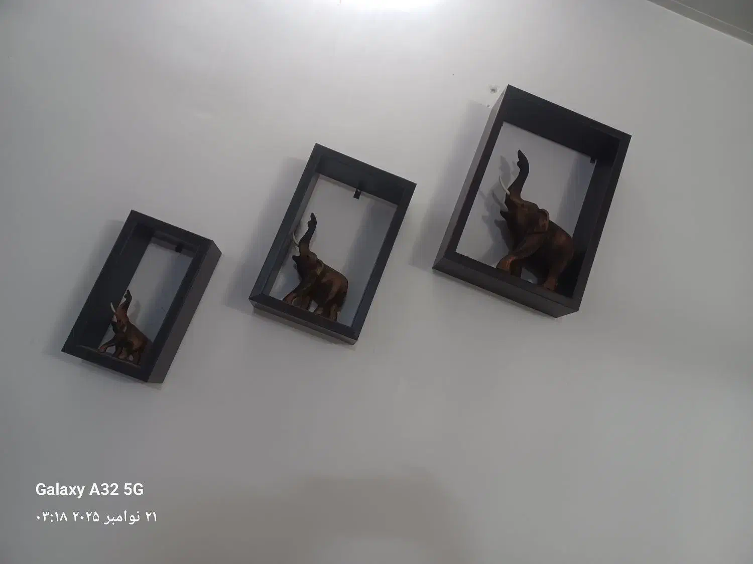 ست کامل فیل چوبی همراه با باکس چوبی|مجسمه، تندیس، ماکت|اراک, |دیوار