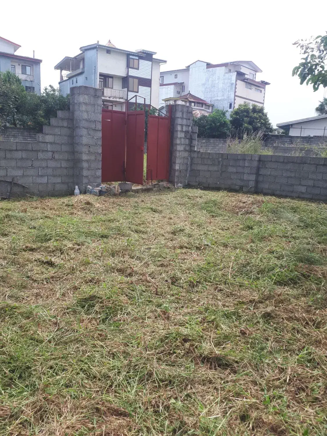 تراشیدن علفهای هرز با دستگاه|خدمات باغبانی و درختکاری|رامسر, |دیوار