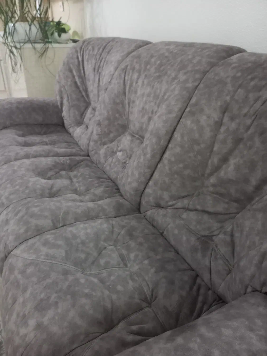 کاناپه|مبلمان خانگی و میز عسلی|شاهینشهر, اقبال لاهوری|دیوار