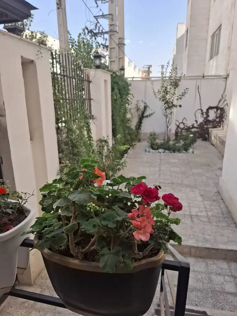 اجاره ای تراس بزرگ|اجارهٔ آپارتمان|پردیس, فاز ۸|دیوار