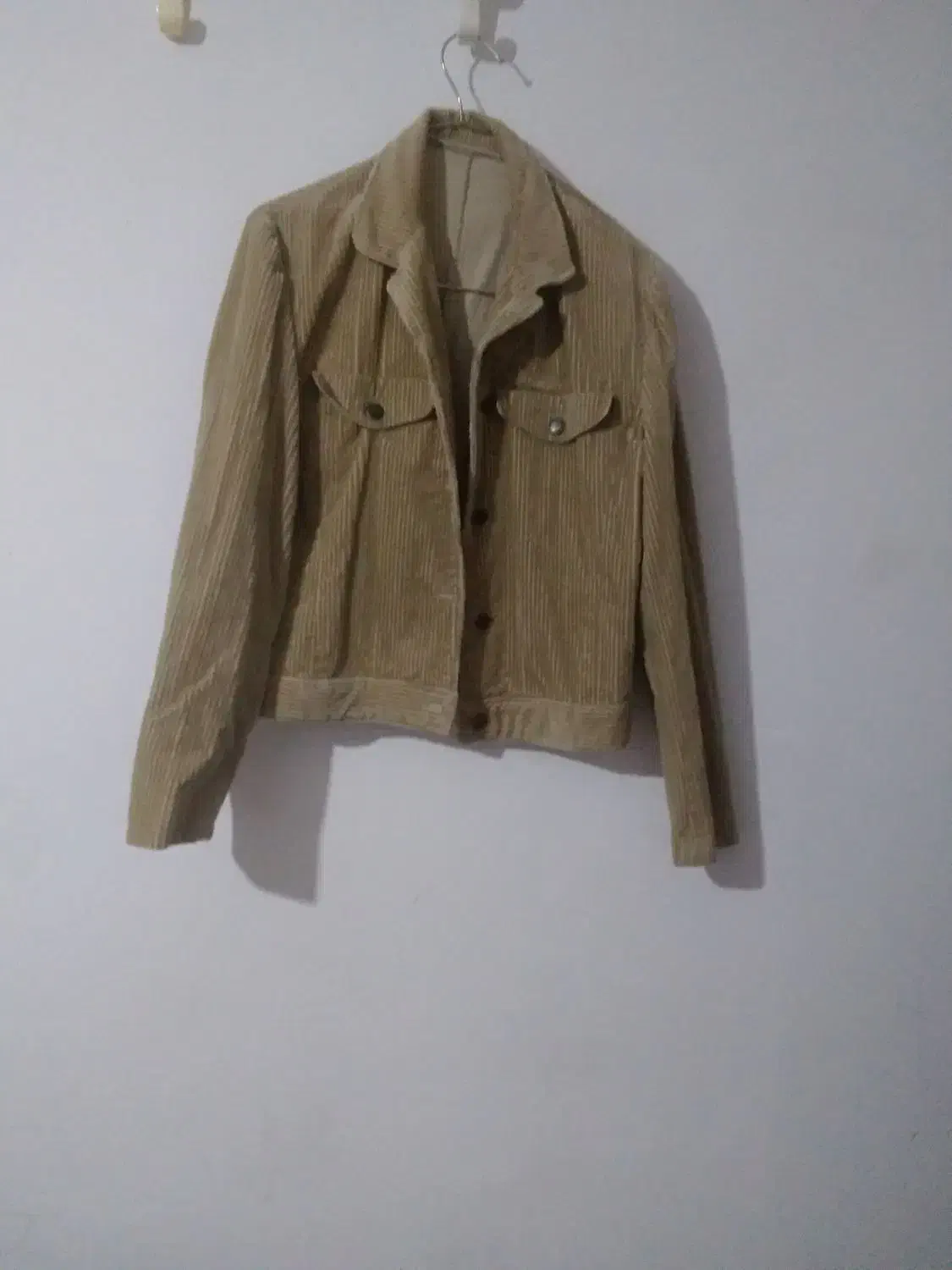 پالتو زنانه|لباس|سنندج, |دیوار