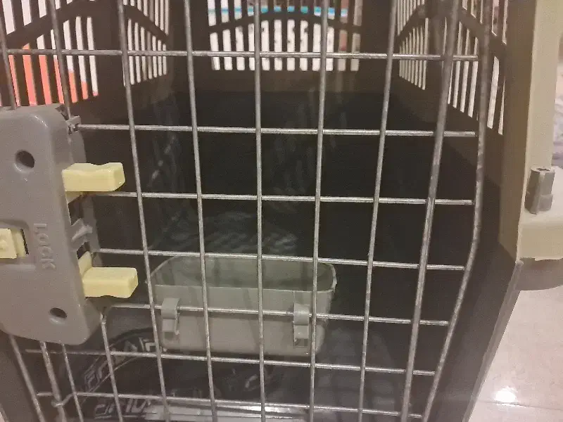 قفسه سگ/گربه|لوازم جانبی حیوانات|لشت نشا, |دیوار