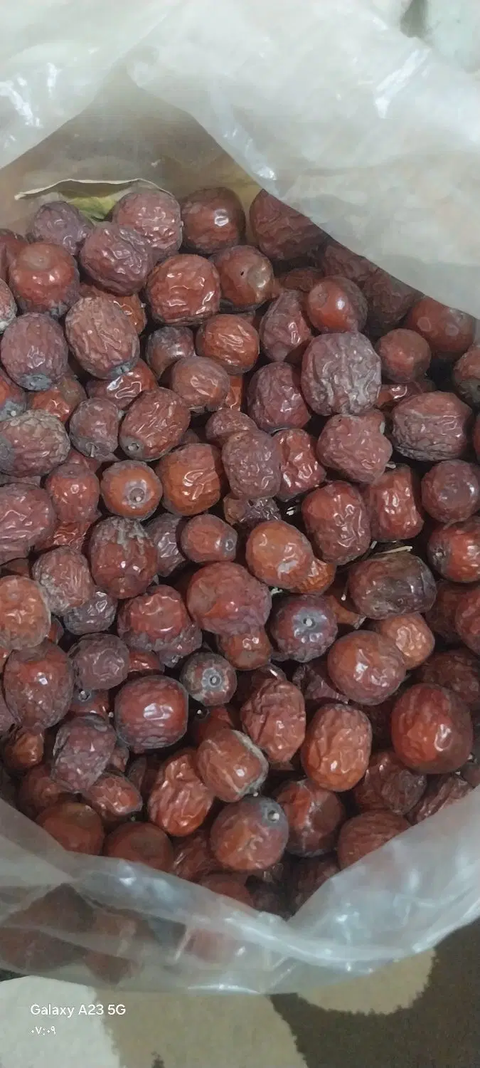 عناب|خوردنی و آشامیدنی|مشهد, فرهنگیان (شهرک غرب)|دیوار