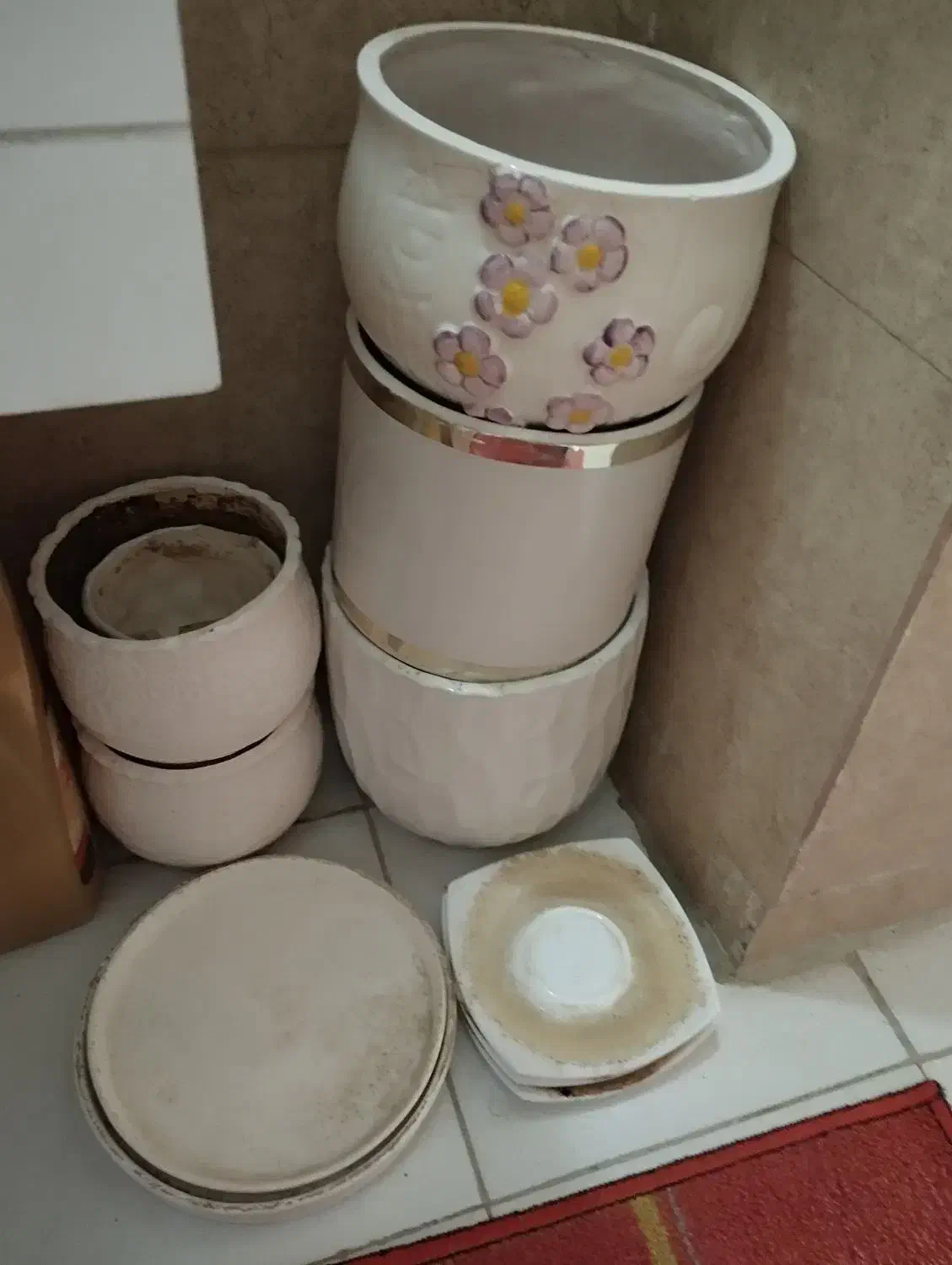 گلدون سرامیک|گل و گیاه طبیعی|ری, دولتآباد|دیوار