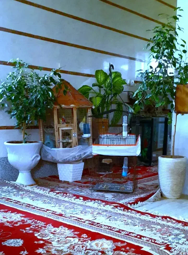 پرنده|حراج|شیراز, کوزه گری|دیوار