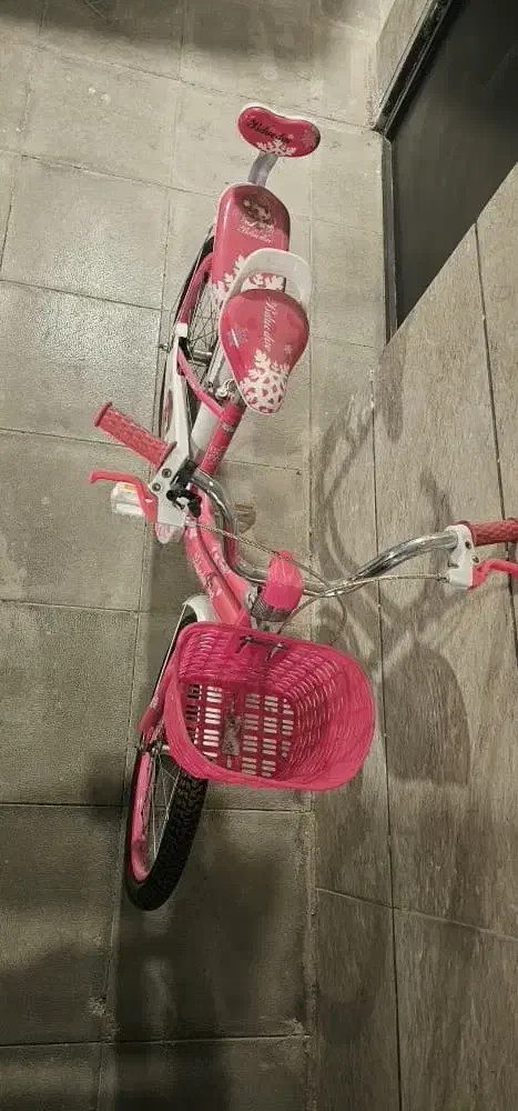 دوچرخه سایز ۲۰|دوچرخه، اسکیت، اسکوتر|شیراز, صنایع الکترونیک|دیوار