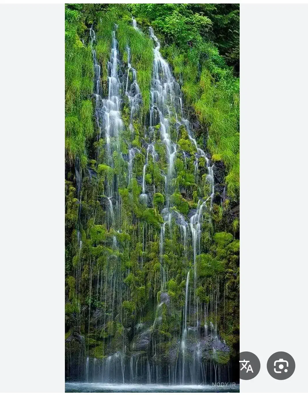 راهنمایی کنید تفریح و گردش|فعالیت داوطلبانه|کرمان, |دیوار