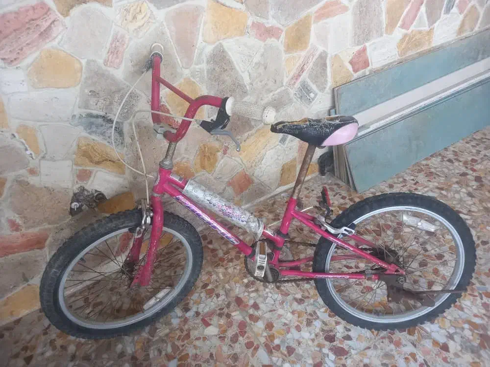 دوچرخه دو عدد کوچک و بزرگ|دوچرخه، اسکیت، اسکوتر|سلمان‌شهر, |دیوار