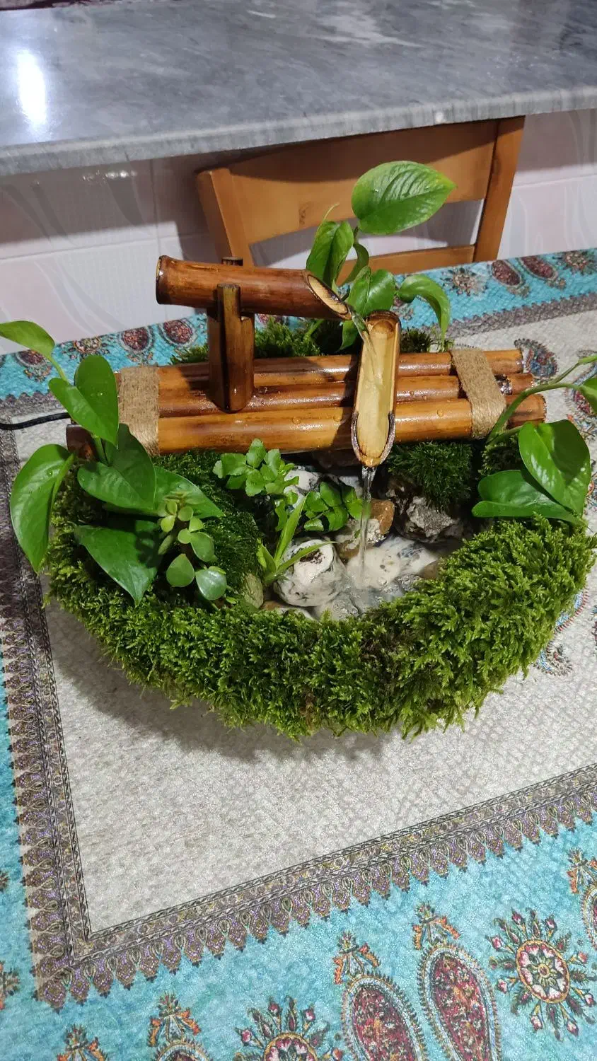 آب نما با گیاهان طبیعی|صنایع دستی و سایر لوازم تزئینی|سرخنکلاته, |دیوار