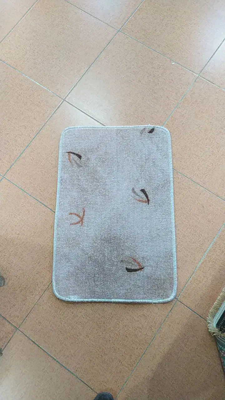 هراز کرم|موکت|یاسوج, |دیوار