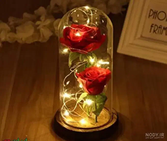 فلکسی شیشه ای برای گیفت و دکور سازی|گل مصنوعی|گنبد کاووس, |دیوار