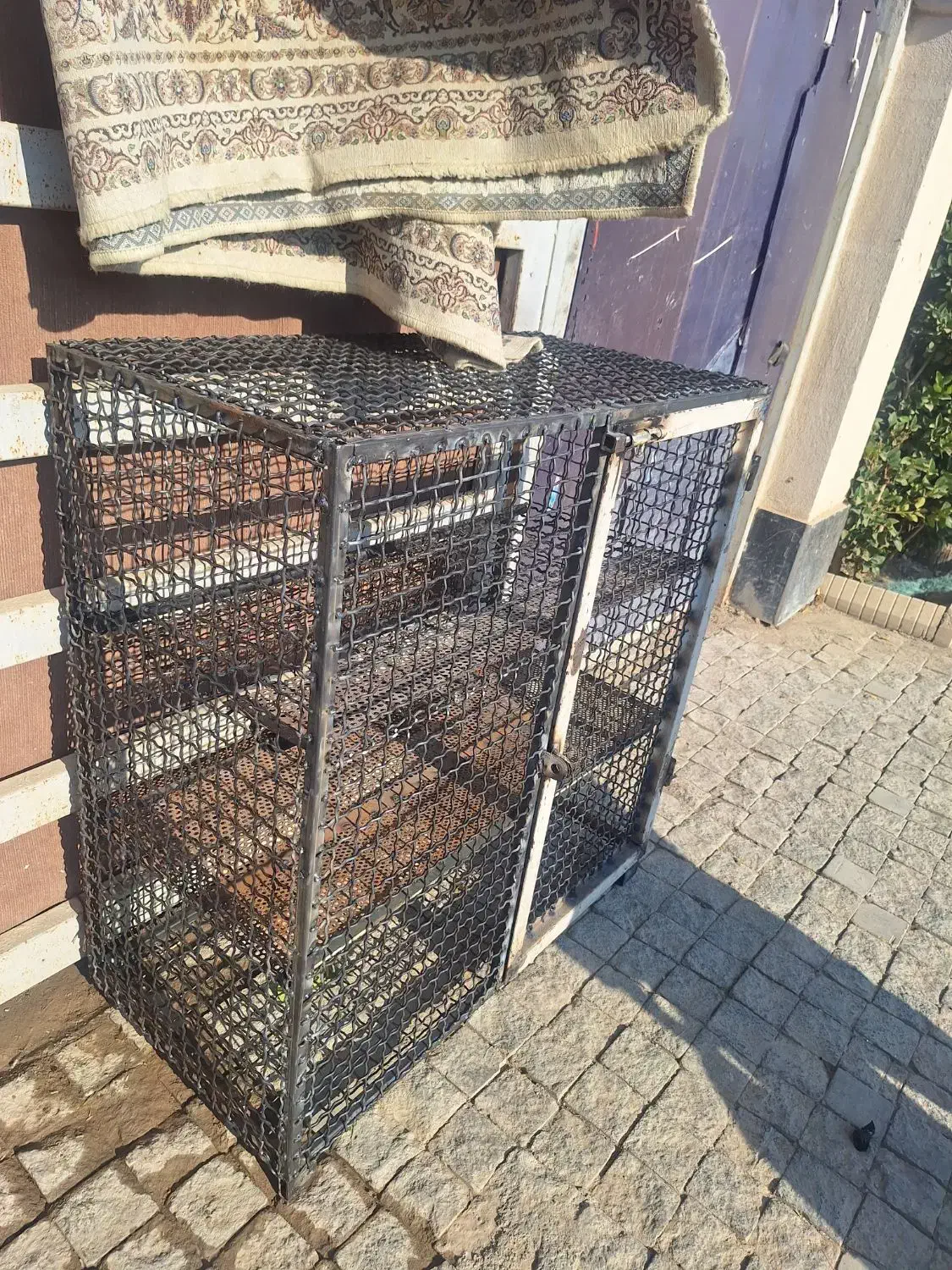 جفت کنی کفتر یک در یک عمق ۵۵ مناسب پرنده|لوازم جانبی حیوانات|صفادشت, |دیوار