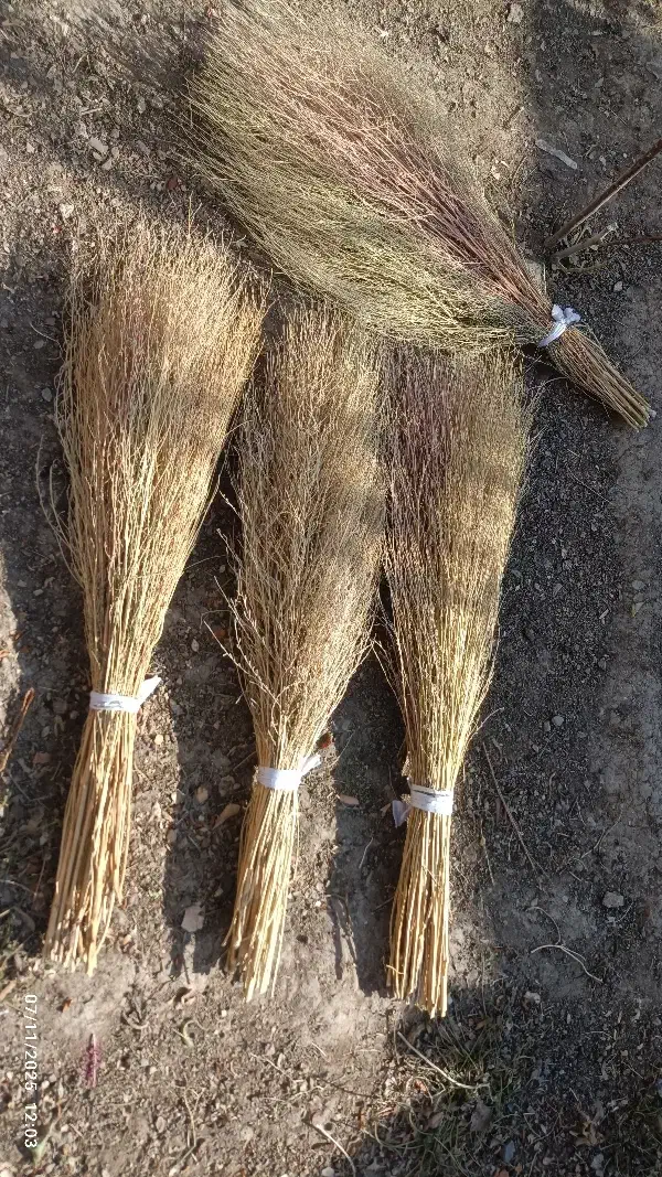 جارو دستی ارزان و با کیفیت|لوازم نظافت|ارومیه, |دیوار