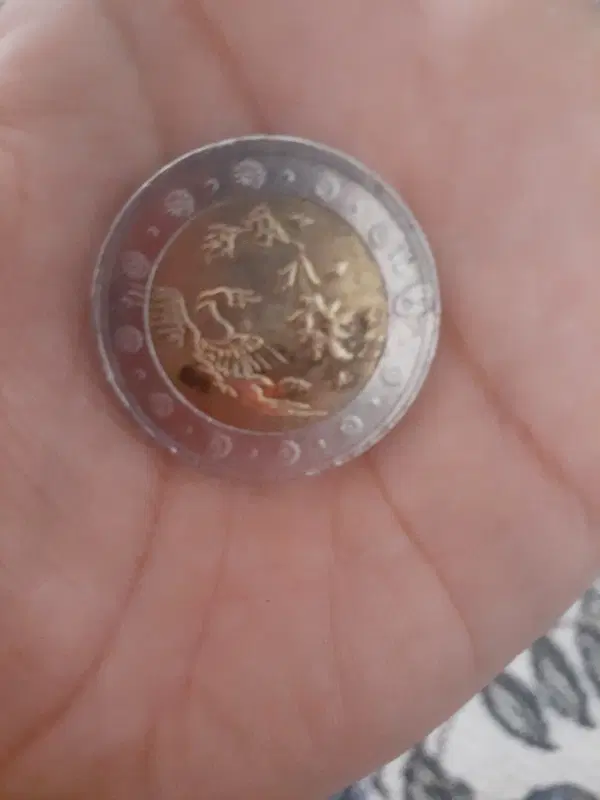 سکه ۵۰۰|بدلیجات|سیرجان, |دیوار