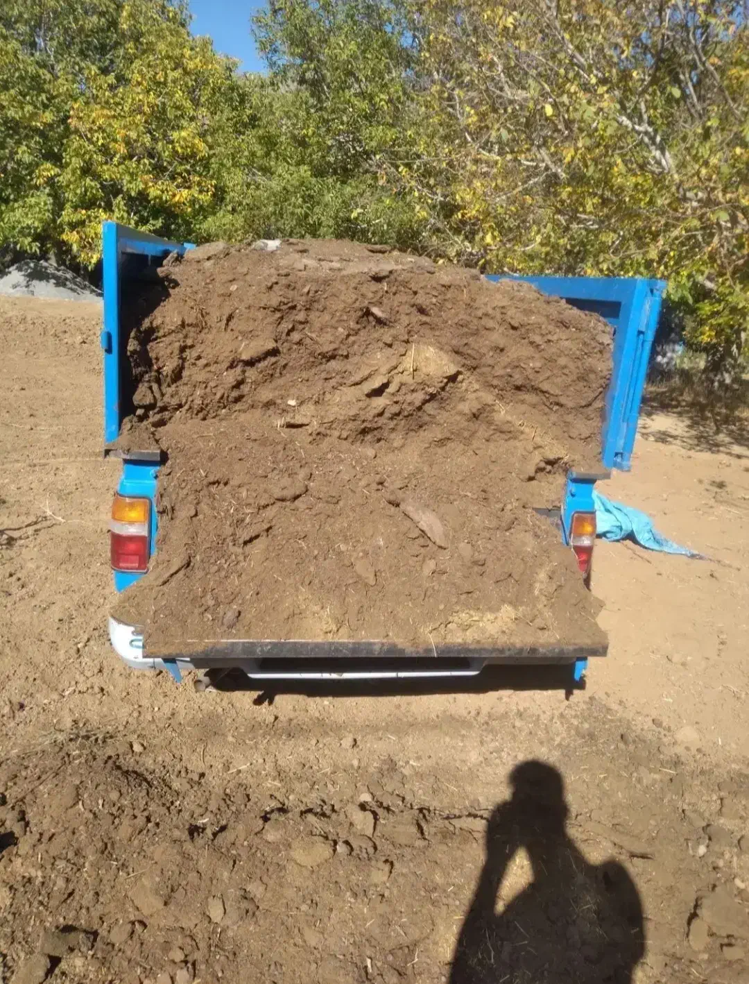 ارسال کوت حیوانی به سراسرکشور|خدمات باغبانی و درختکاری|زاغه, |دیوار