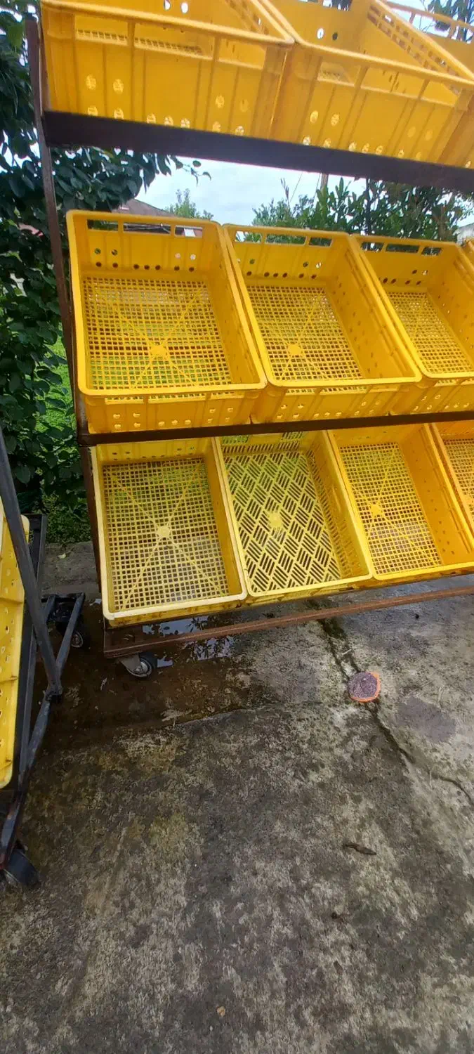 ۳ عدد استند میوه و فروشگاهی|فروشگاه و مغازه|شلمان, |دیوار