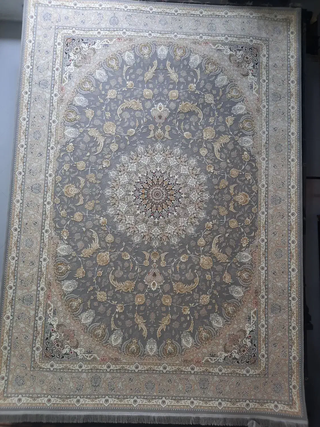 پخش فرش ۱۲۰۰شانه۷۰۰شانه۱۵۰۰شانه زیرقیمت بازار|فرش|مشکین‌دشت, |دیوار