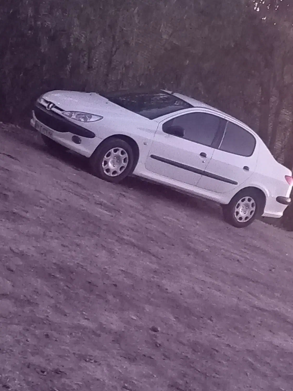 206 sd v20|خودرو سواری و وانت|میاندوآب, |دیوار