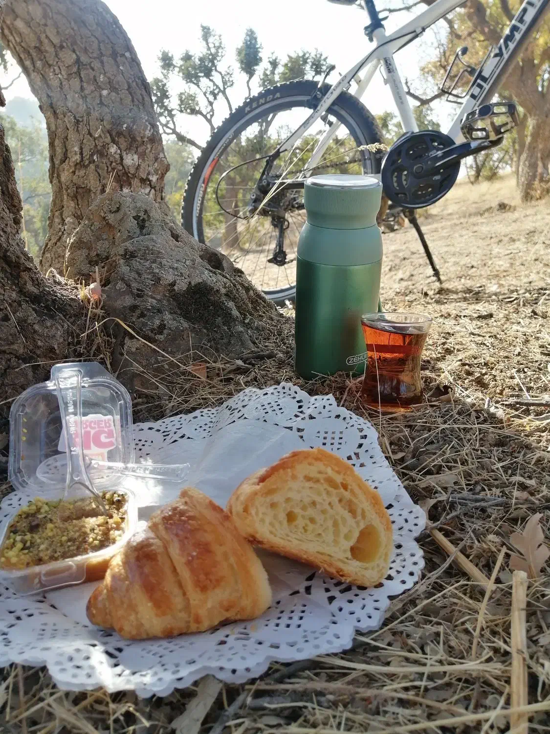 حلوا وشیرینی های مخصوص Tinysky|خدمات پذیرایی، مراسم|مریوان, |دیوار