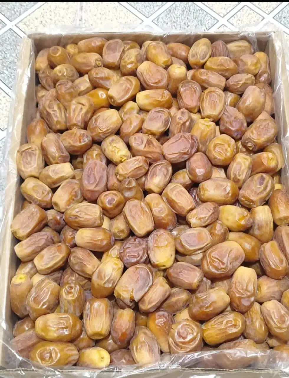 خرمای زاهدی درجه یک|خوردنی و آشامیدنی|اصفهان, فردوان|دیوار