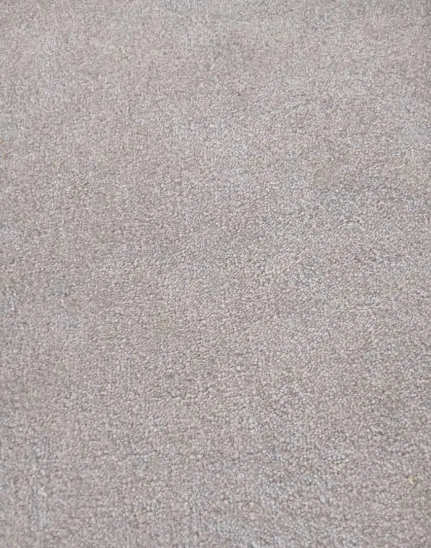 پالاز موکت|موکت|سهند, |دیوار