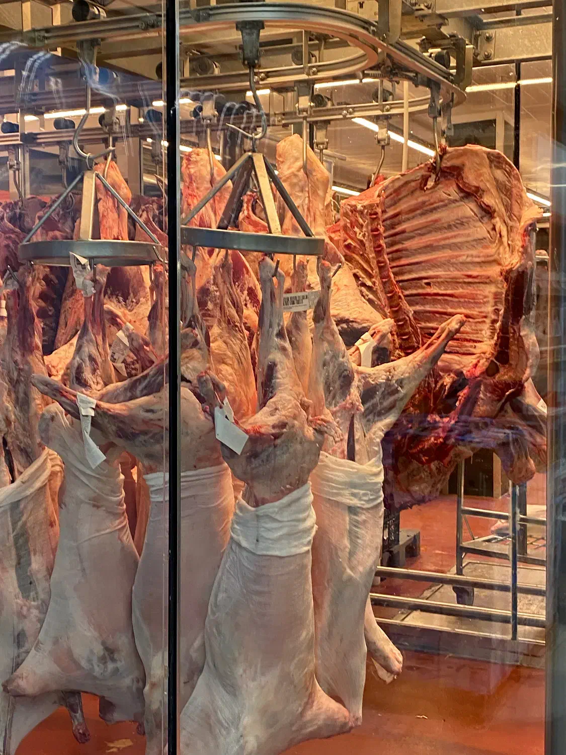 پخت غذا در محل و نازلترین قیمت|خدمات پذیرایی، مراسم|همدان, |دیوار