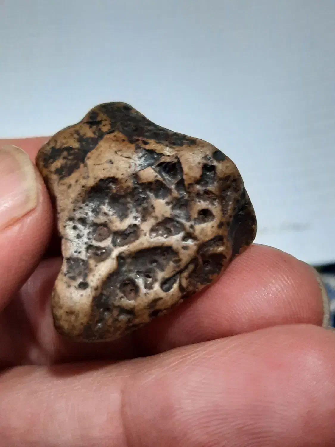 شهاب سنگ|کلکسیون اشیاء عتیقه|مشهد, عبادی|دیوار