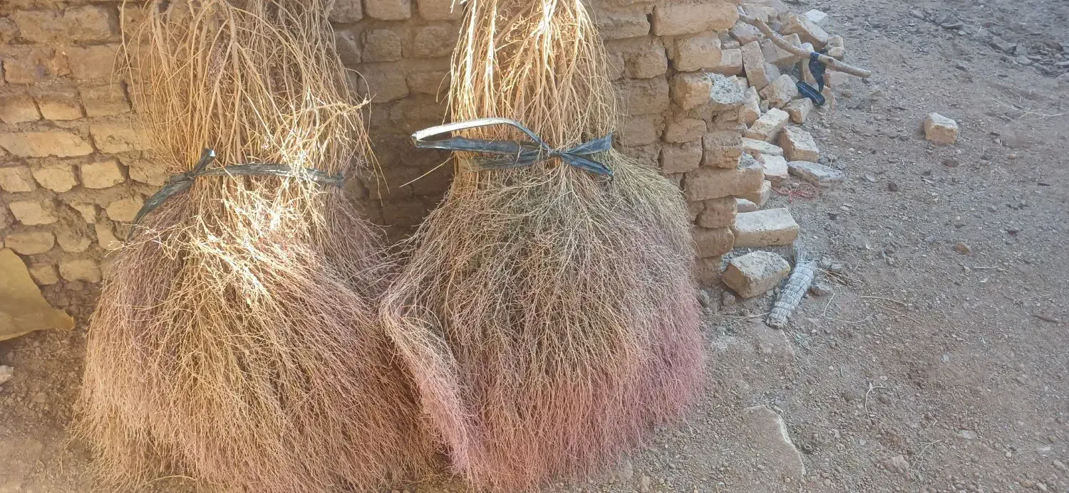 جارو|لوازم نظافت|اصفهان, پوریای ولی|دیوار