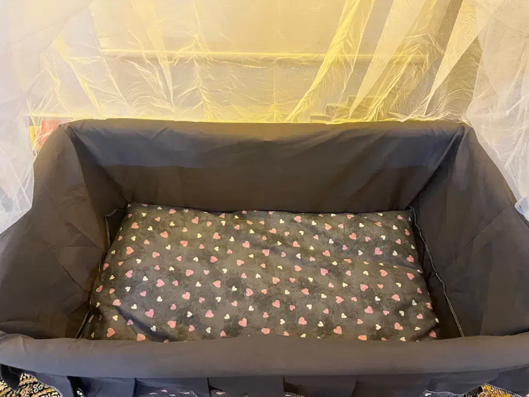 ننو پشه بند دار|تخت و صندلی بچه|گرگان, |دیوار