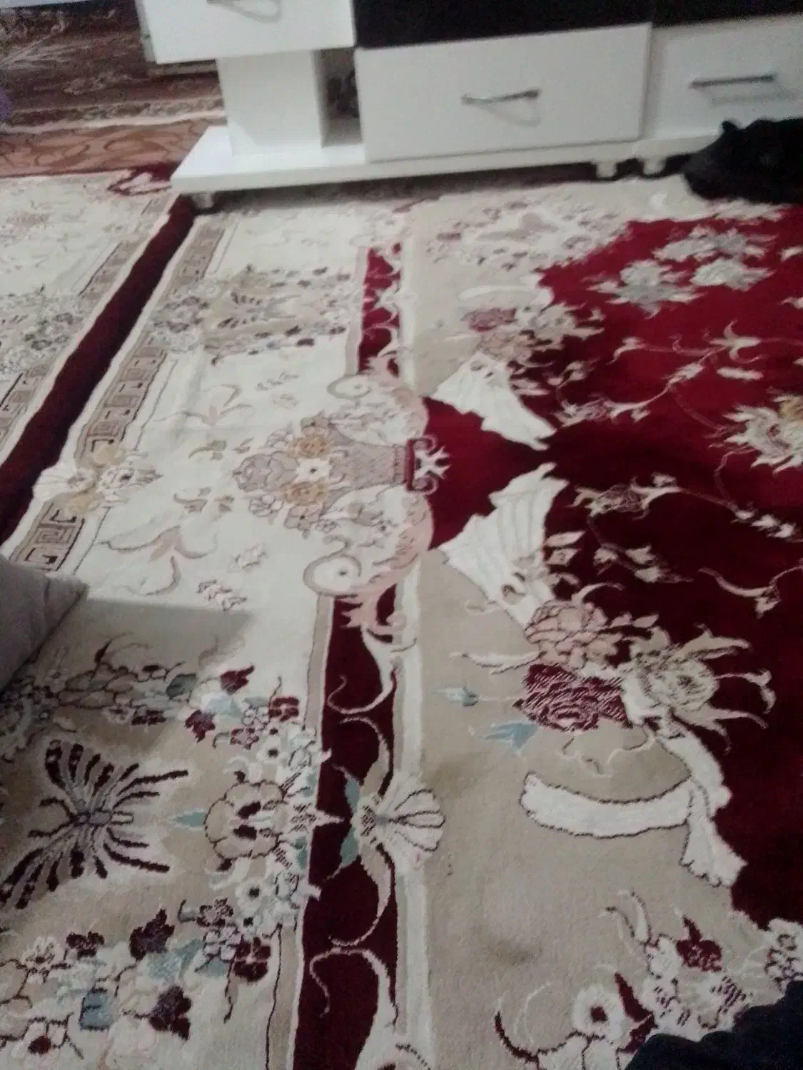 قالی|فرش|بجنورد, |دیوار