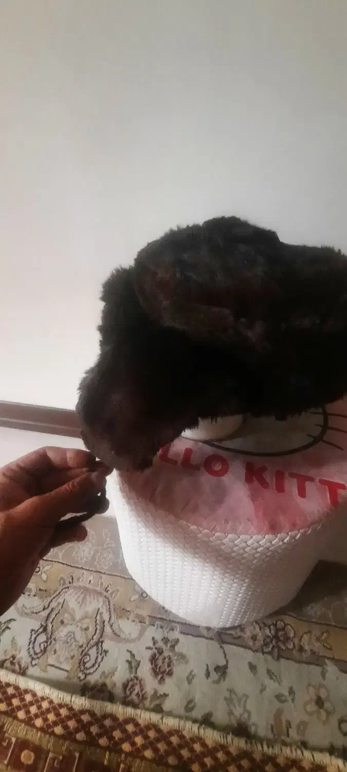 کلاه‌روسی|لباس|تهران, دکتر هوشیار|دیوار