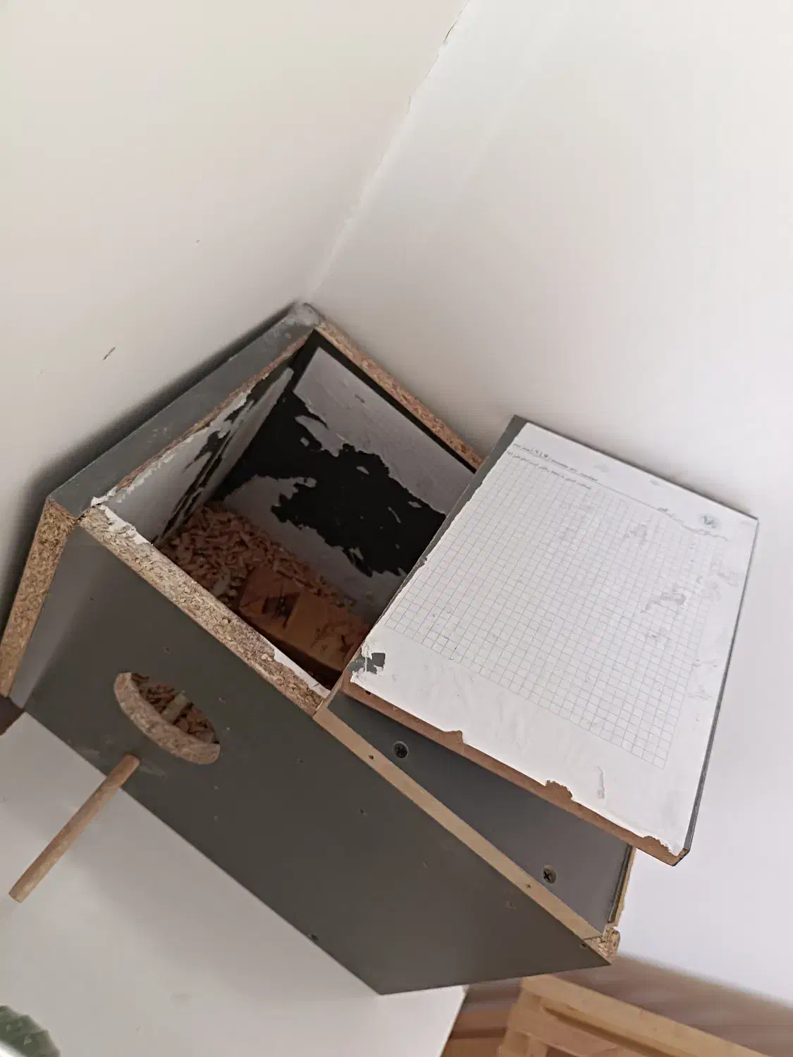 قفس پرنده|لوازم جانبی حیوانات|مشهد, توس (بلوار توس)|دیوار