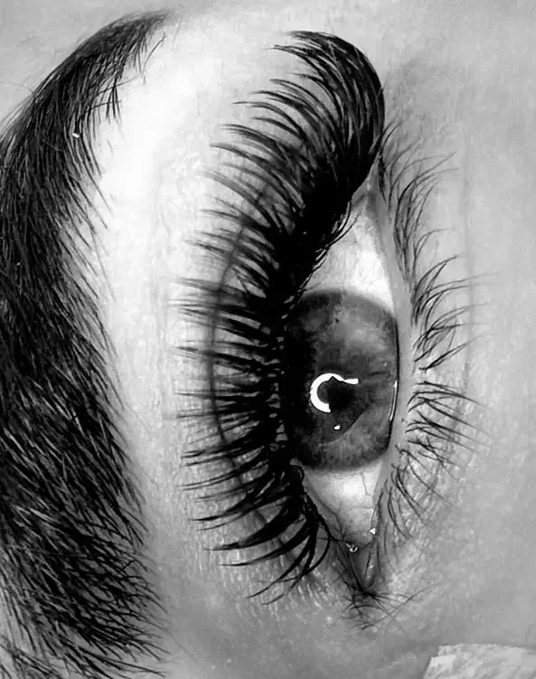 آموزش صفرتا صد اکستنشن مژه|خدمات آموزشی|زهک, |دیوار