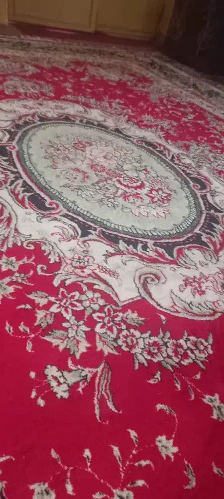 فرش تمیز و نو|فرش|زابل, |دیوار