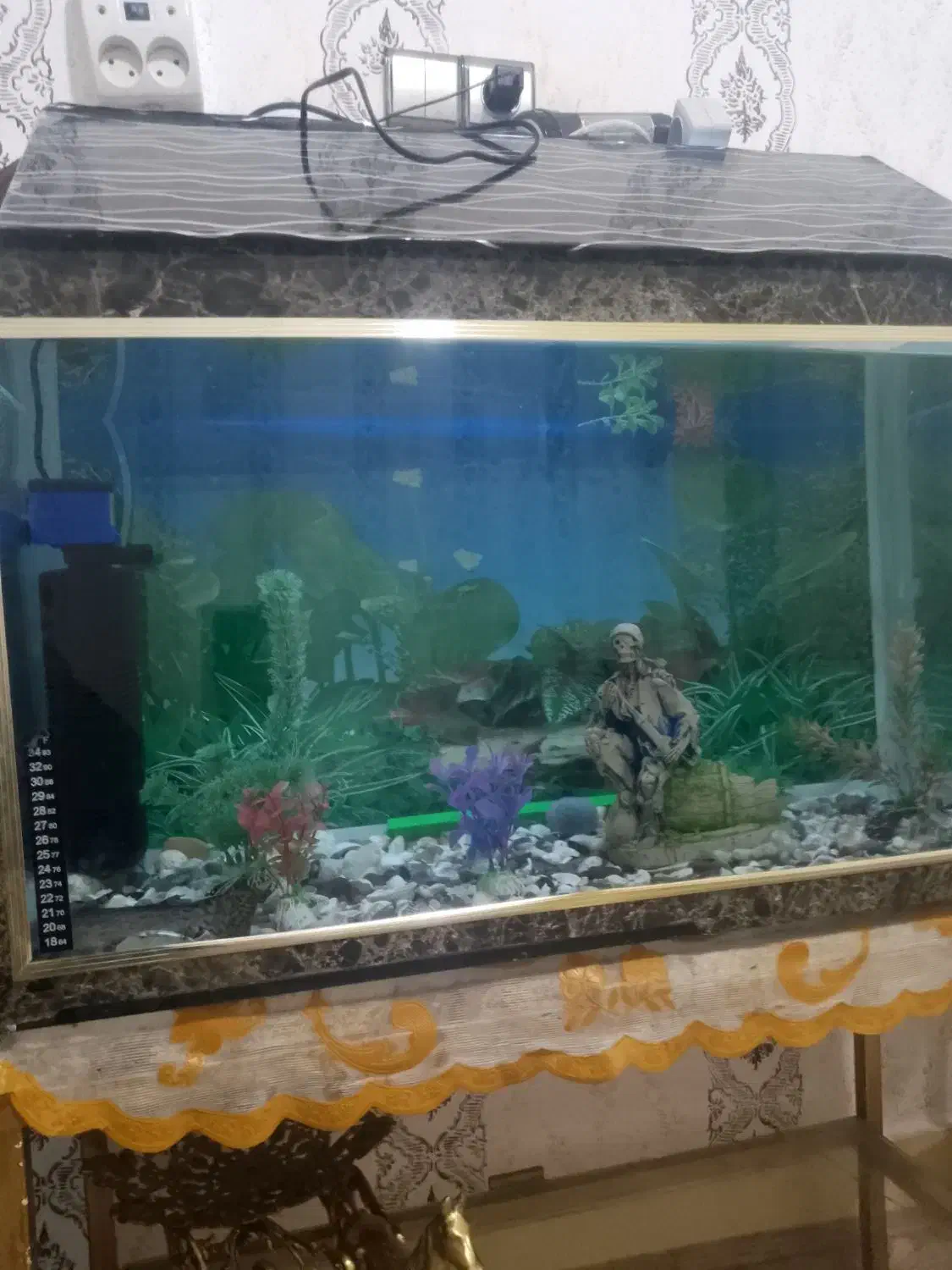 آکواریوم|ماهی|خرم‌آباد, |دیوار