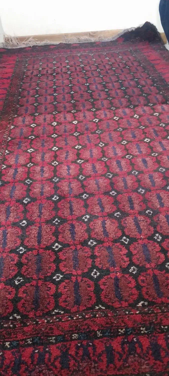 قالیچه دست بافت|فرش|بیرجند, |دیوار