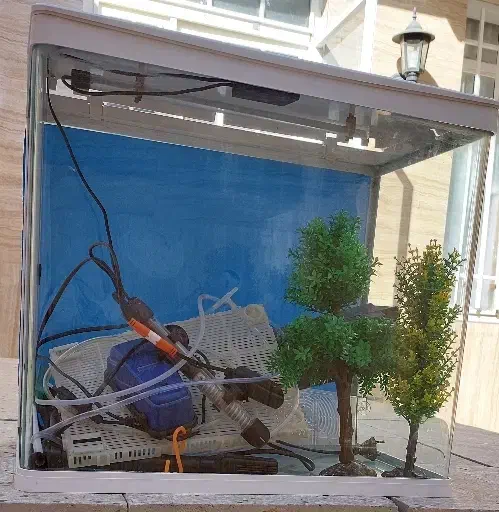 اکواریوم شرکتی|ماهی|تربت‌حیدریه, حسنی بالا|دیوار