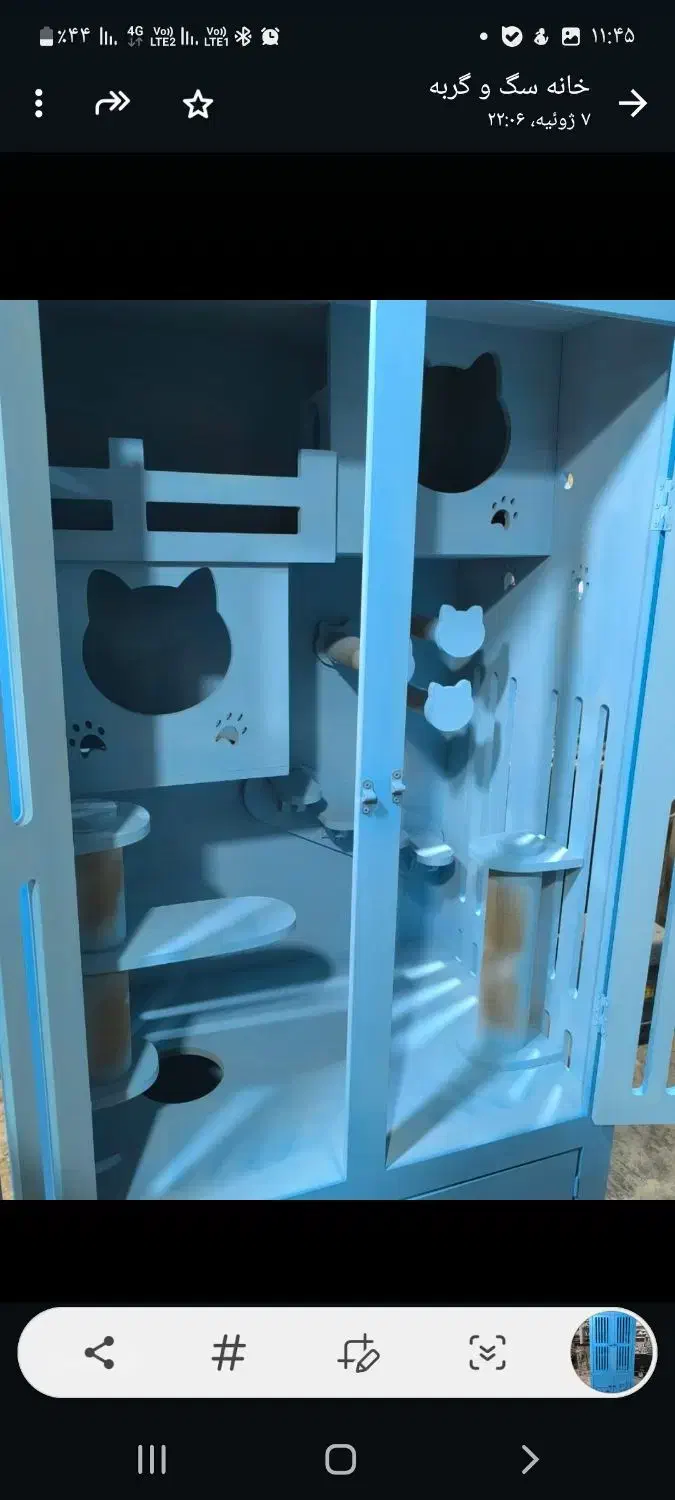 خانه گربه|گربه|قشم, |دیوار