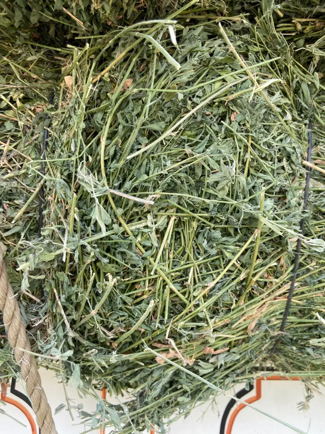 بیده|حیوانات مزرعه|شهر بابک, |دیوار