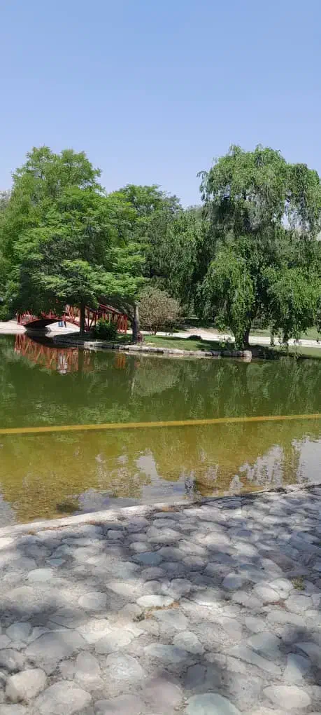 زمین در برزک|فروش زمین و ملک کلنگی|برزک, |دیوار