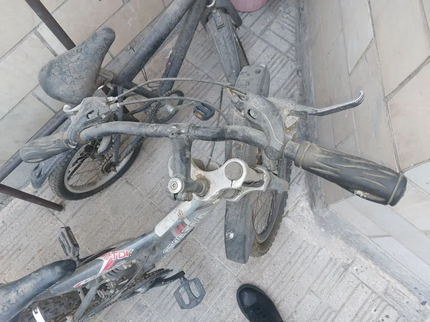 دوچرخه|دوچرخه، اسکیت، اسکوتر|تهران, مجیدیه|دیوار