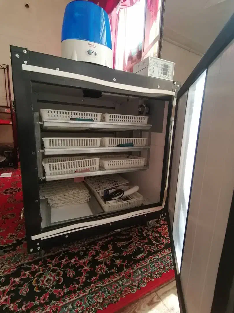 دستگاه جوجه کشی اسکندری ۶۷۰|لوازم جانبی حیوانات|شیراز, شهرک مهدی‌آباد|دیوار