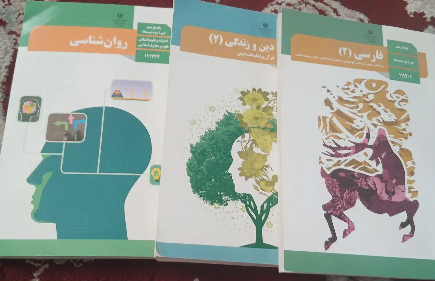 کتاب یازدهم انسانی|کتاب و مجله آموزشی|شیراز, شهرک صدا و سیما|دیوار