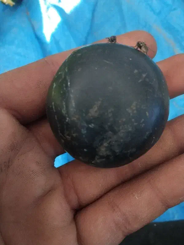 سنگ ارزش مند با قیمت مناسب|جواهرات|بند زرک, |دیوار