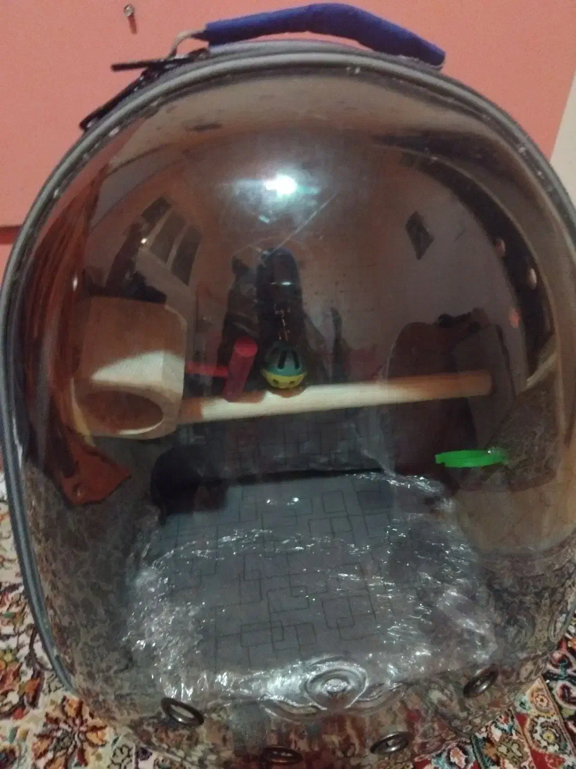 کیف حمل پرنده|لوازم جانبی حیوانات|مراغه, |دیوار