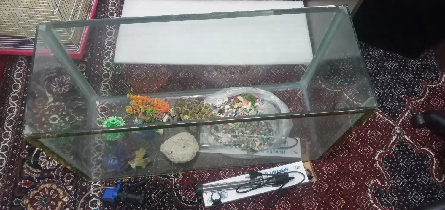 آکواریم|ماهی|خرمدره, |دیوار