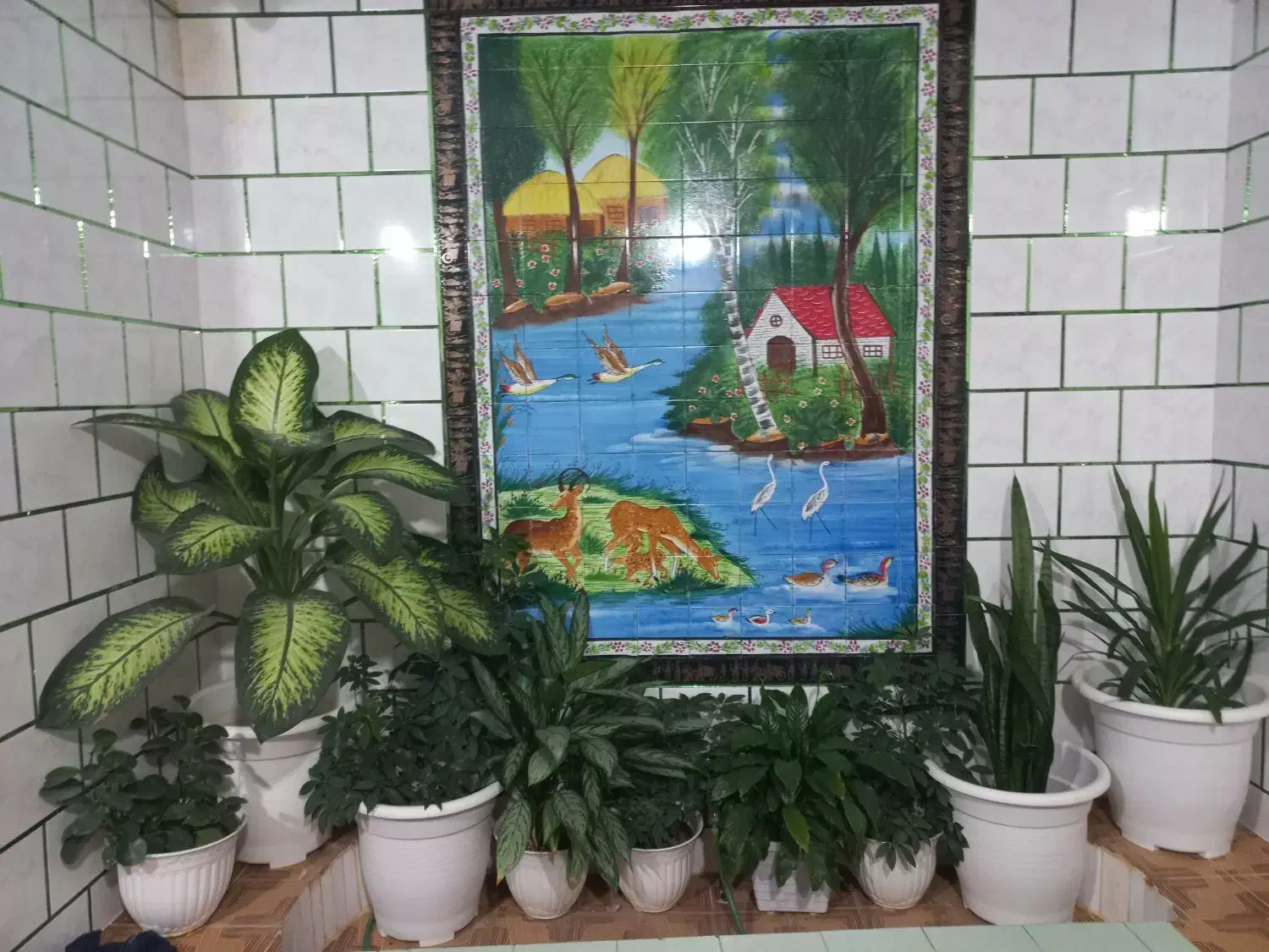 گلهای طبیعی|گل و گیاه طبیعی|یاسوج, |دیوار