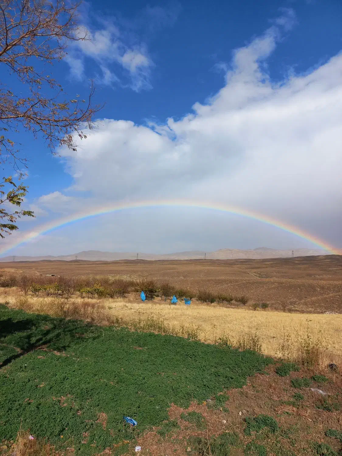 مزرعه بادام کشاورزی پرورش ماهی|فروش دفتر صنعتی، کشاورزی، تجاری|خوانسار, |دیوار