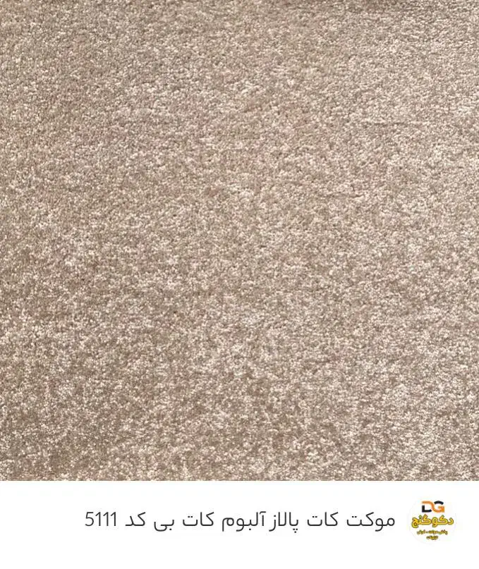 موکت پالاز|موکت|رشت, گلسار|دیوار